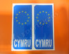 2 x 3D Sticker Resin Domed Euro WALES Number Plate Car Badge
