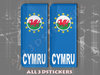 2 x 3D Sticker Resin Domed Euro WALES Number Plate with Flag Car Badge